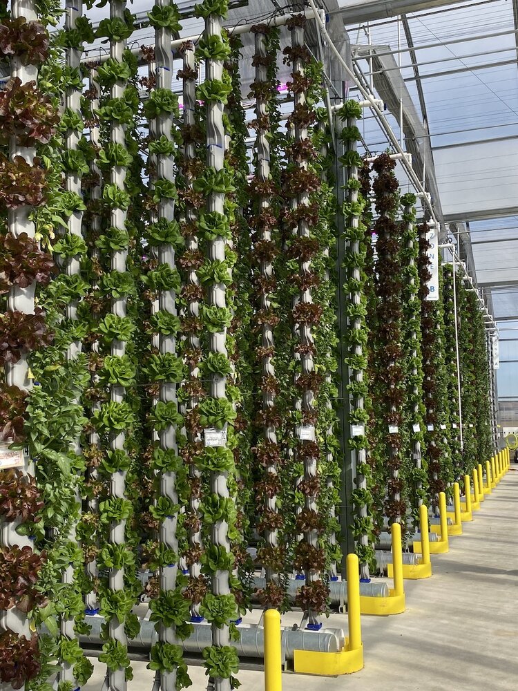 vertical farming